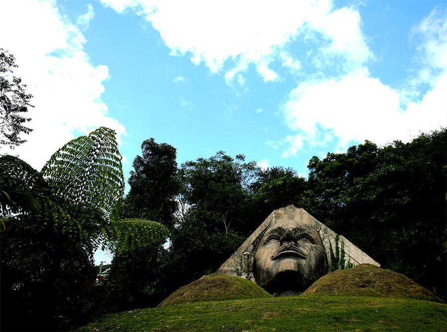 ���ɵ����