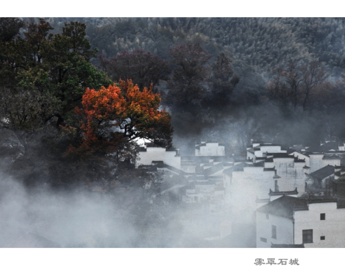 ����ʤ (1)000.JPG