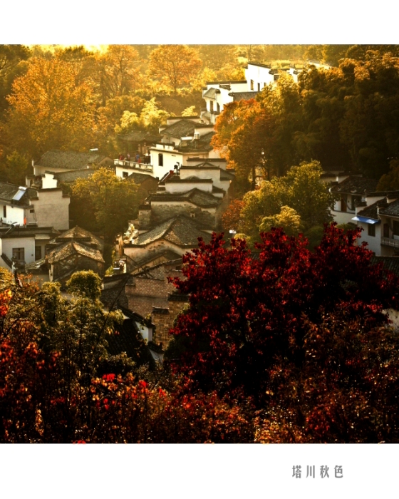 ���� (2)00.JPG