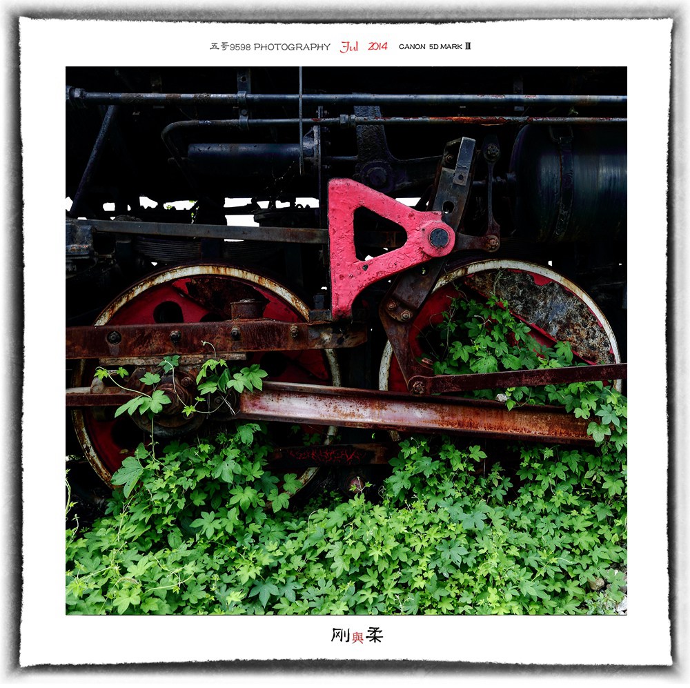 ������ 6.jpg