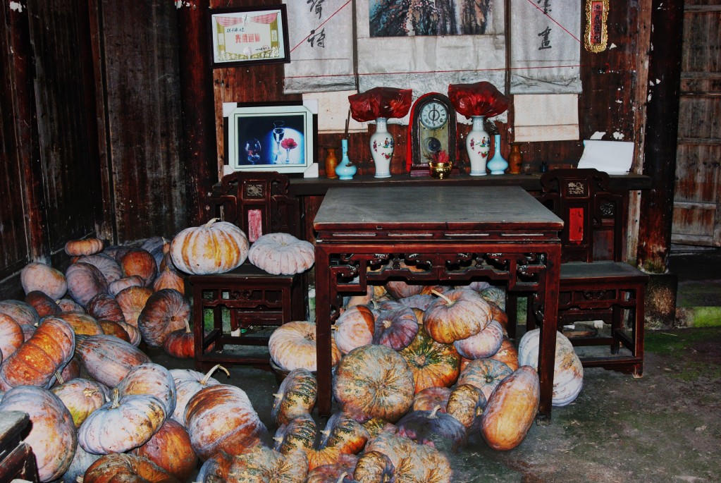 ������ǰ���Ϲ�