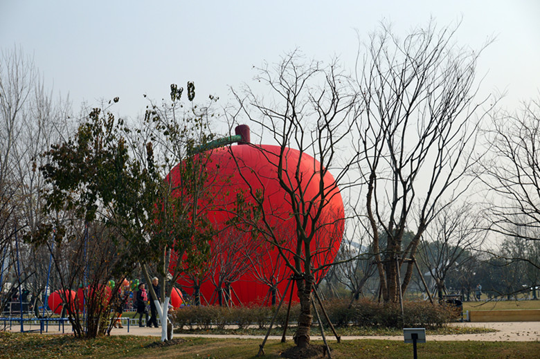 DSC06845_���� - ����.jpg