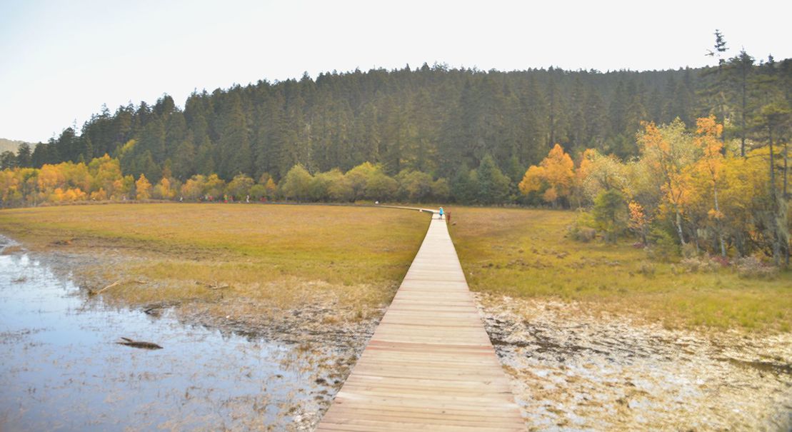 ��Ƭ 964_����.jpg