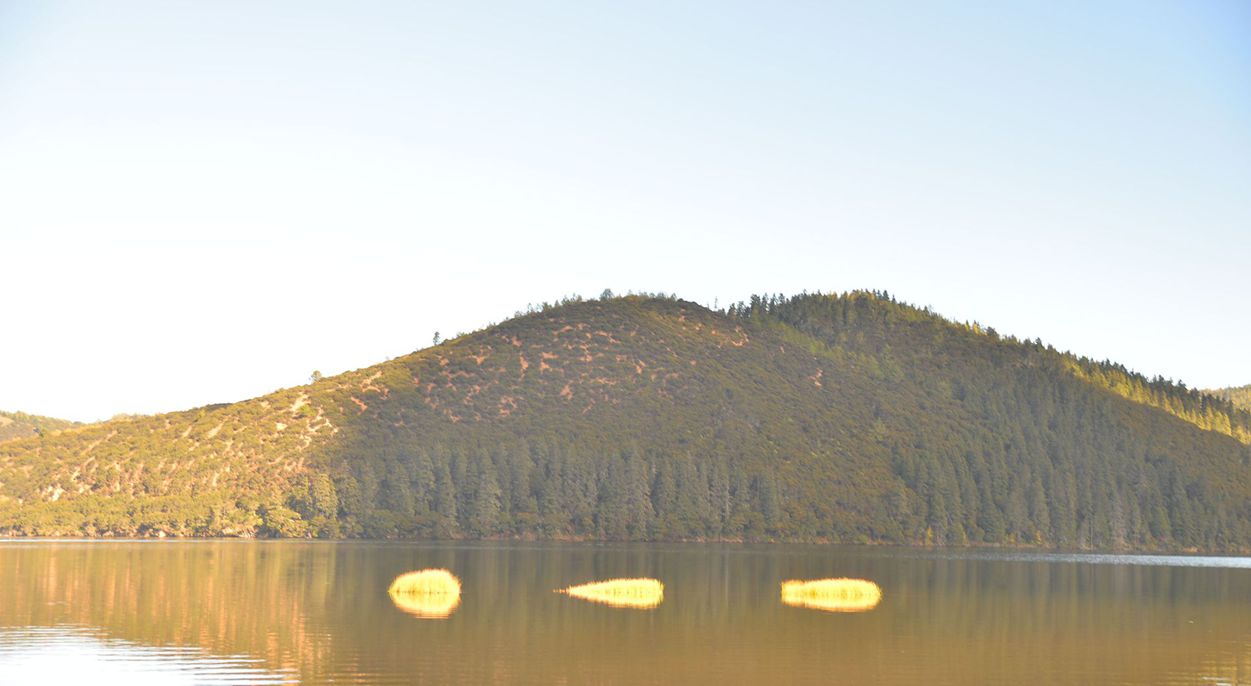 ��Ƭ 966_����.jpg