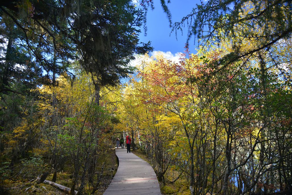 ��Ƭ 992_����.jpg