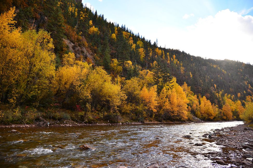 ��Ƭ 1297_����.jpg