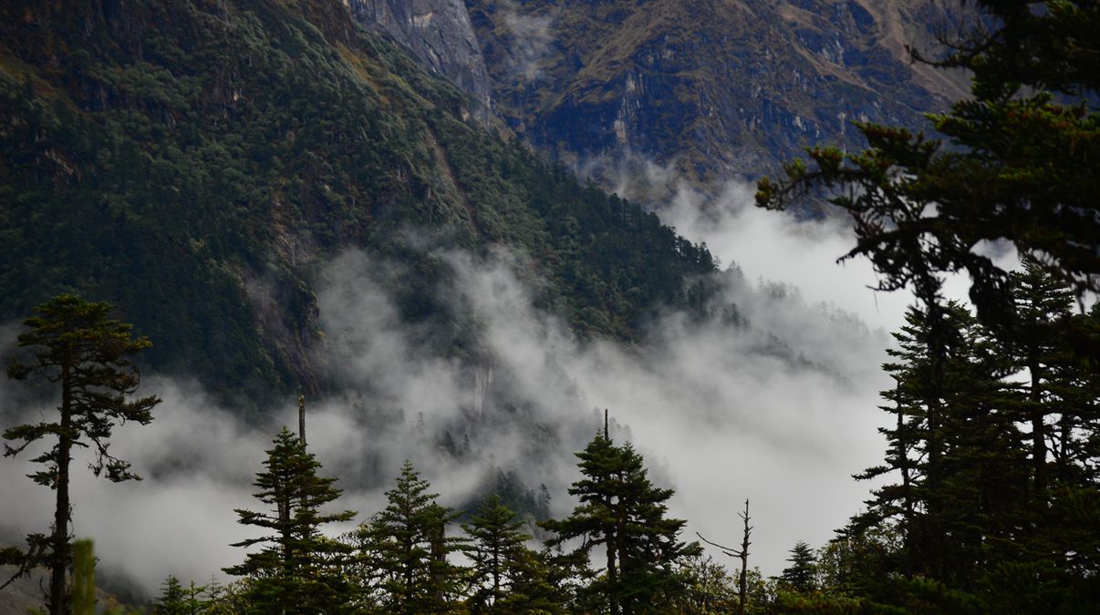 ���ݹ���������