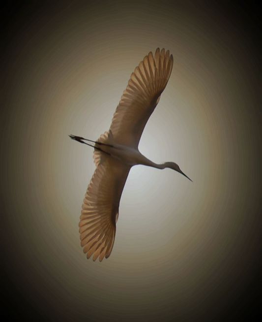 ��Ƭ0 015_����.jpg