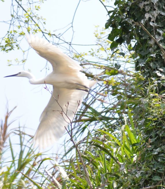 ��Ƭ 018_����.jpg