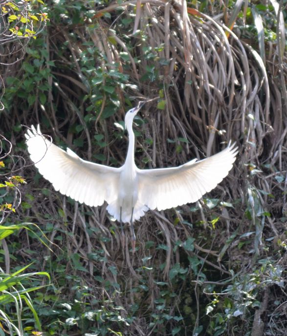 ��Ƭ 053_����.jpg