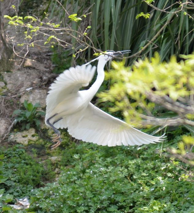 ��Ƭ 022_����.jpg