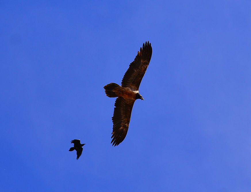 ��Ƭ 1371_����.jpg