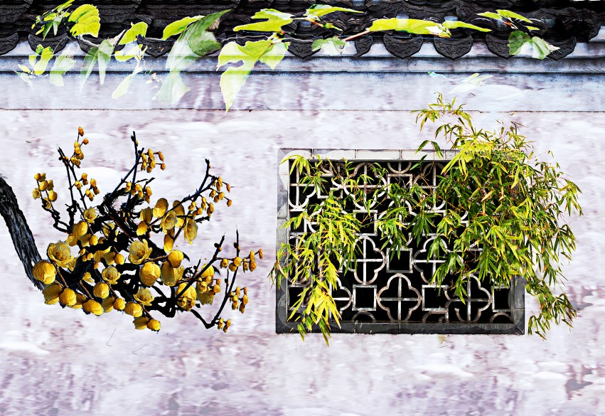 �������