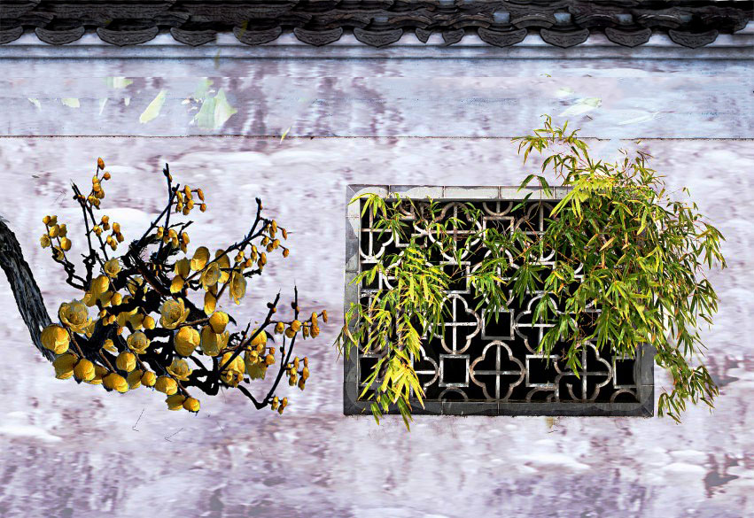 ������ѡ�÷��