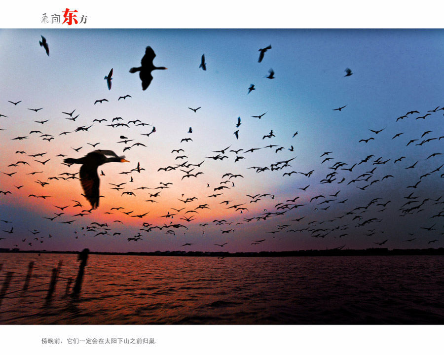 ���򶫷� ��С�� (1)0.JPG