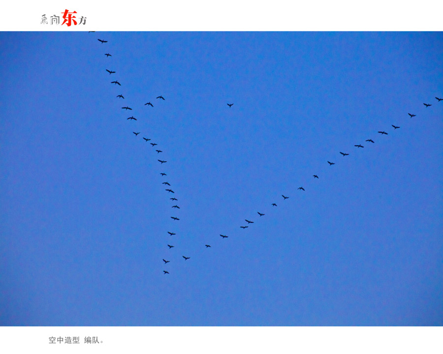 ���򶫷� ��С�� (2)0.JPG