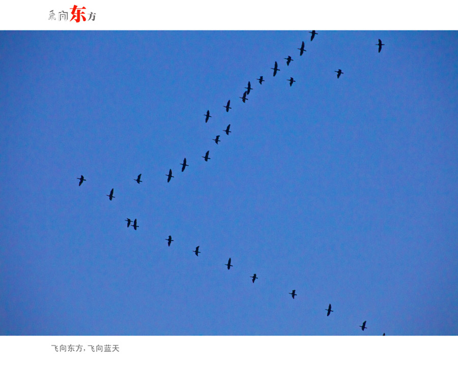 ���򶫷� ��С�� (3)0.JPG