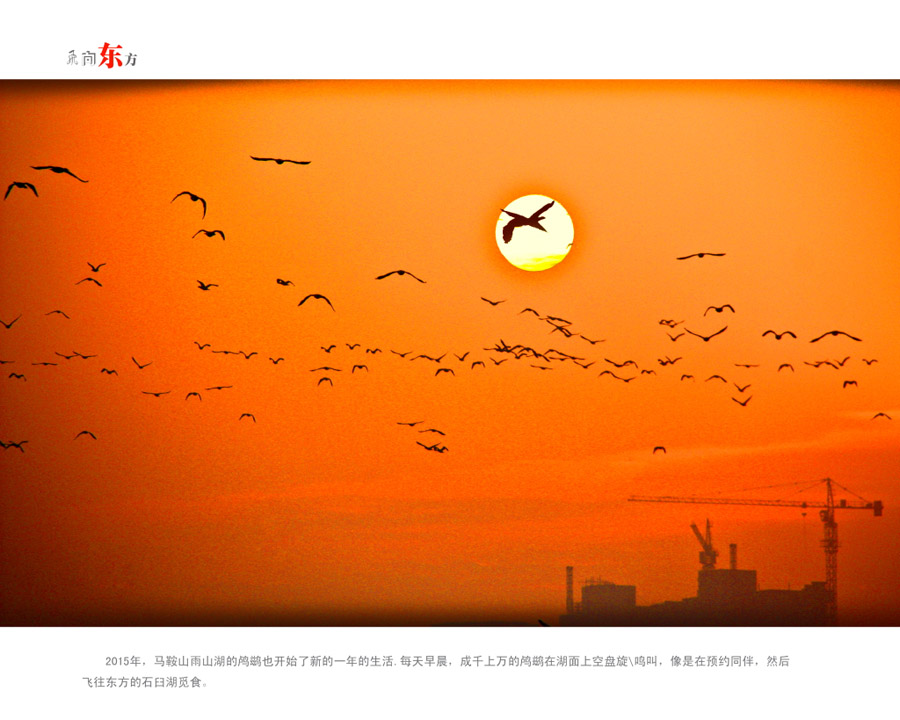 ���򶫷� ��С�� (4)0.JPG