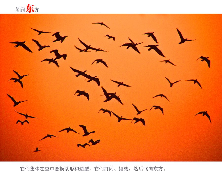 ���򶫷� ��С�� (5)0.JPG