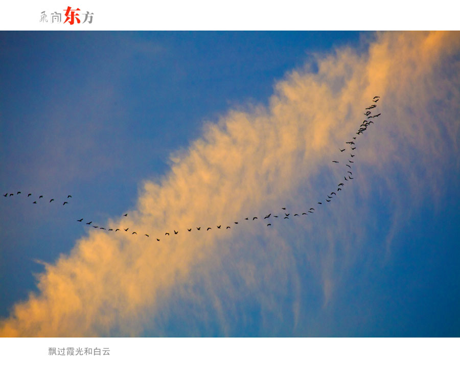 ���򶫷� ��С��0.JPG