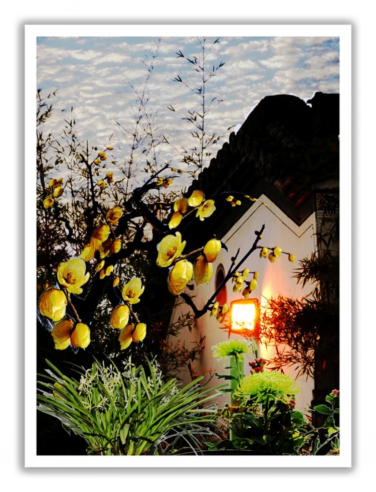 ���� ���� DSC_2297_conew3.JPG