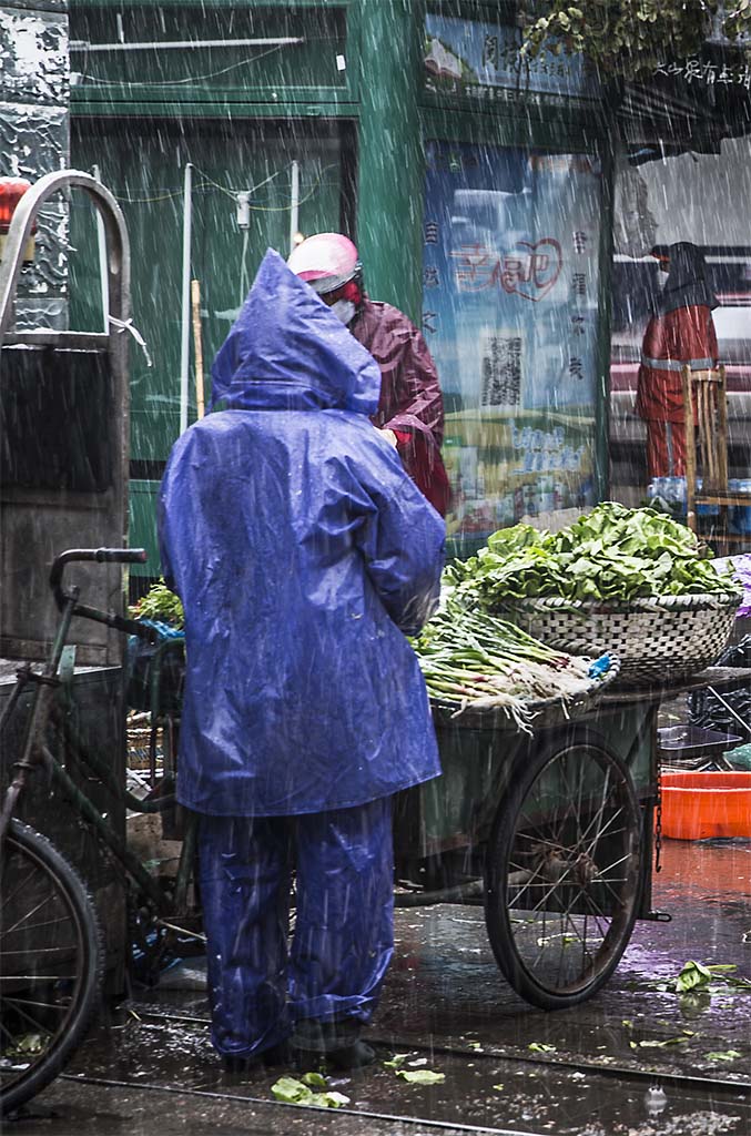 ��ѩ������5