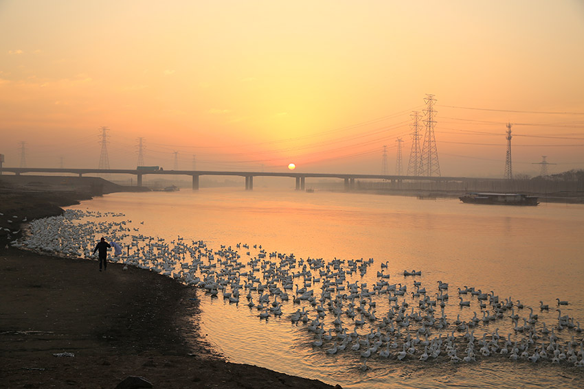 _D4A5876 ����.jpg