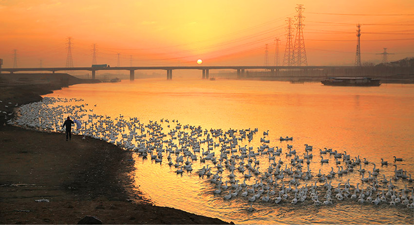 _D4A5876 ����.jpg