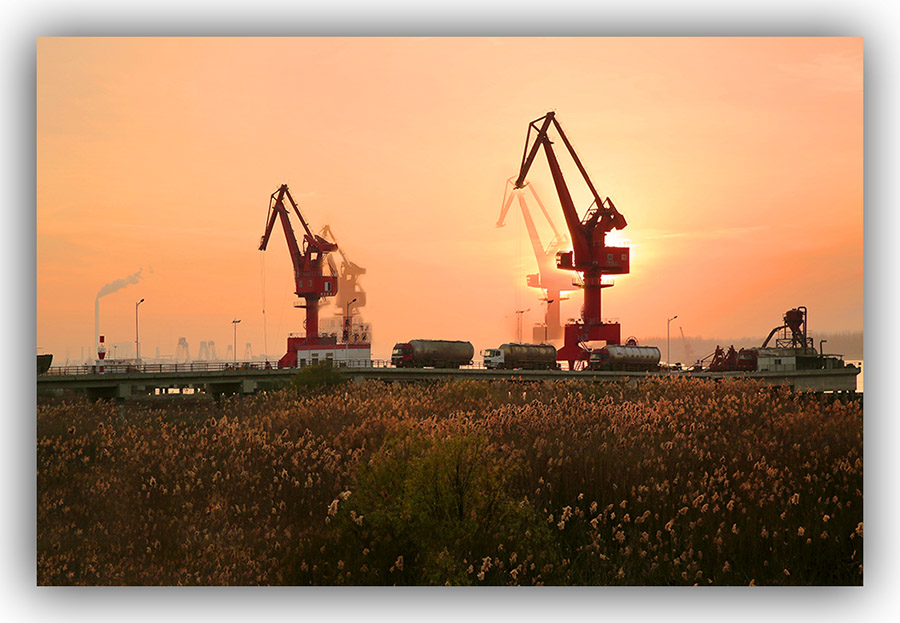 _D4A6005 ����.jpg