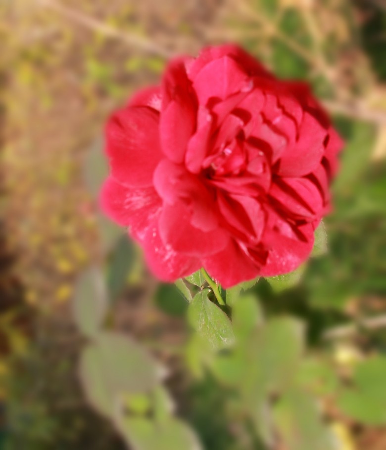 �¼����� (1).JPG