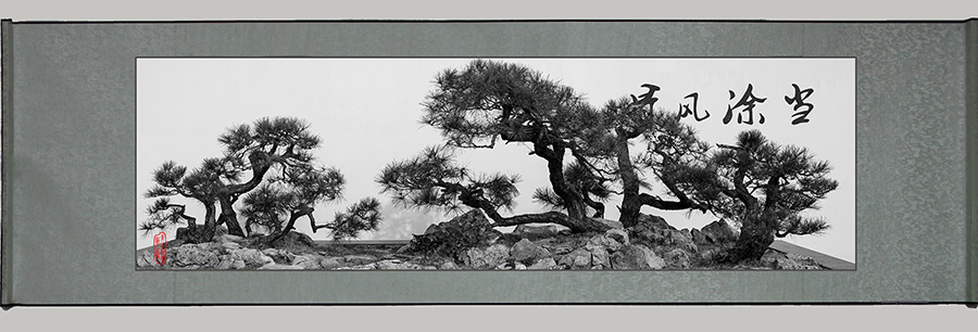 D4A6657   ����.jpg