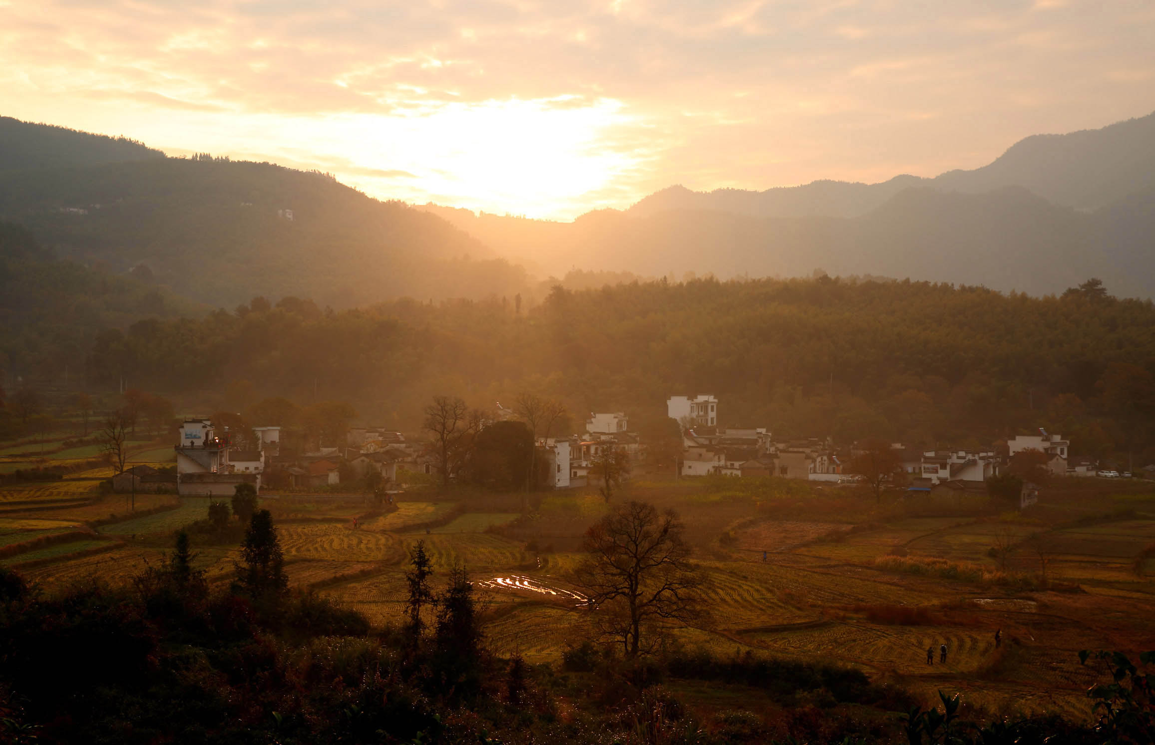 0R8A0058 ����.jpg