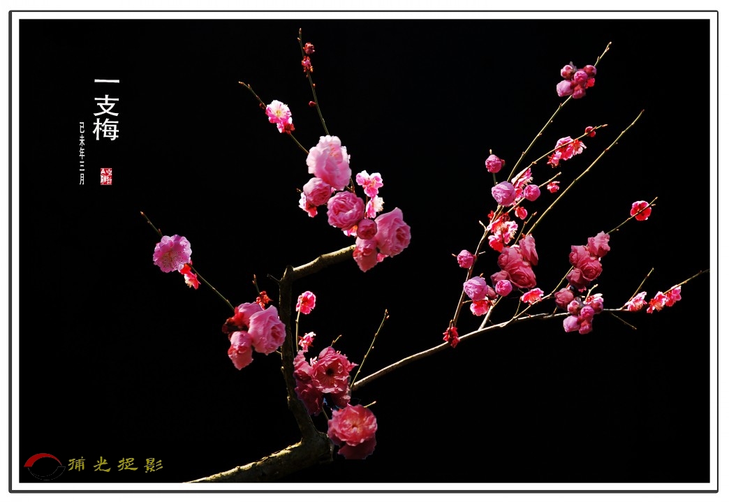 һ֧÷��ԭ��