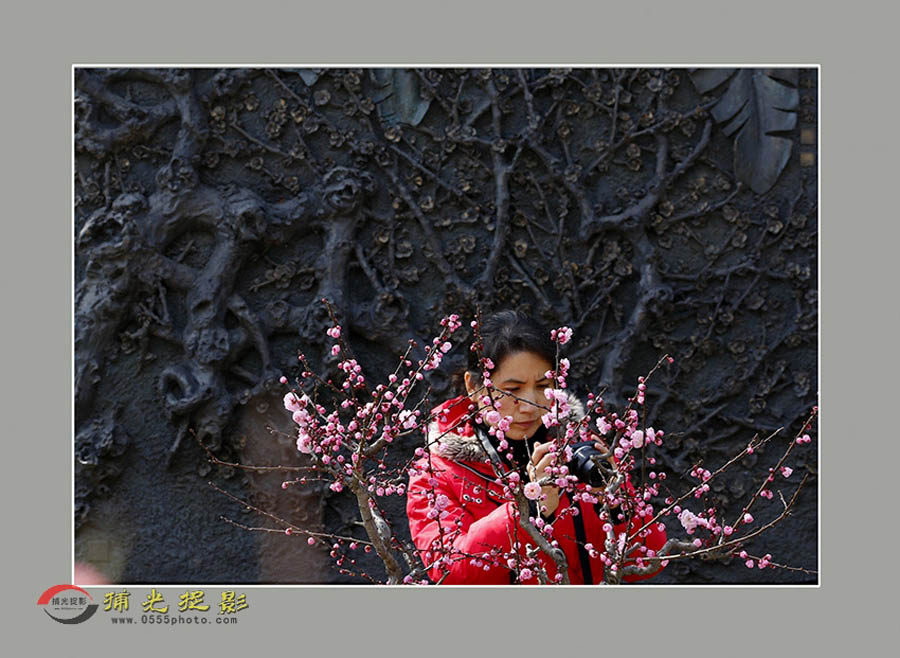 _D4A8175 ����.jpg