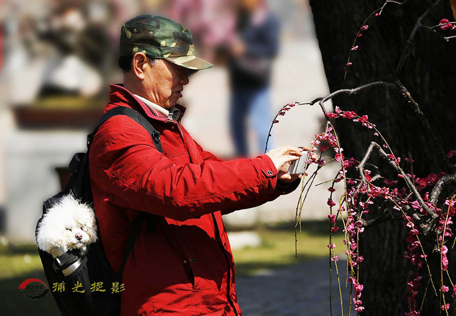 _D4A8217 ����.jpg