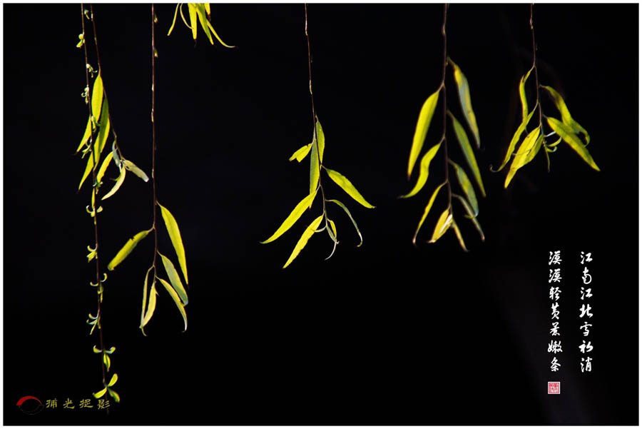 _DSC0200     ĮĮ���������.jpg