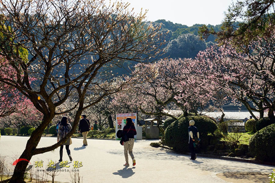 DSC00063_���� - ����.jpg