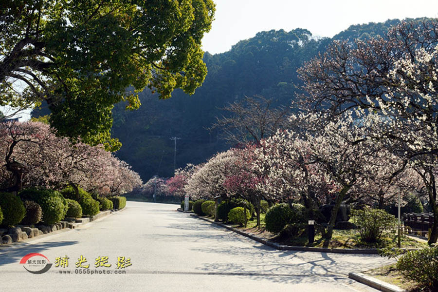 DSC00079_���� - ����.jpg