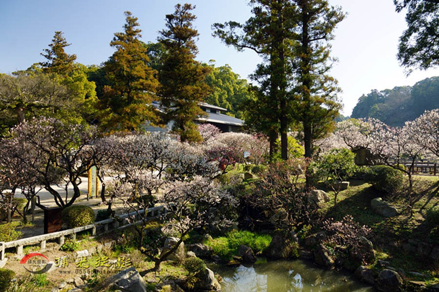 DSC00060_���� - ����.jpg