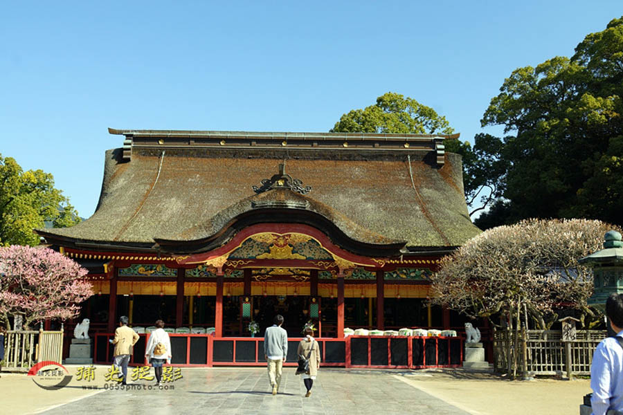 DSC00073_���� - ����.jpg