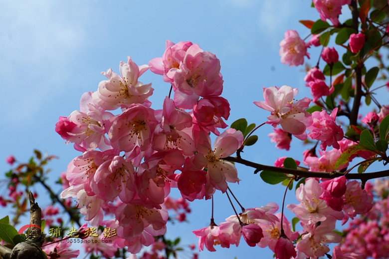 DSC00637_���� - ����.jpg