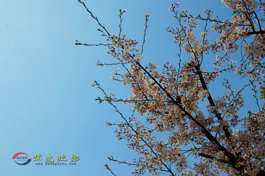 DSC00648_���� - ���� - ����.jpg