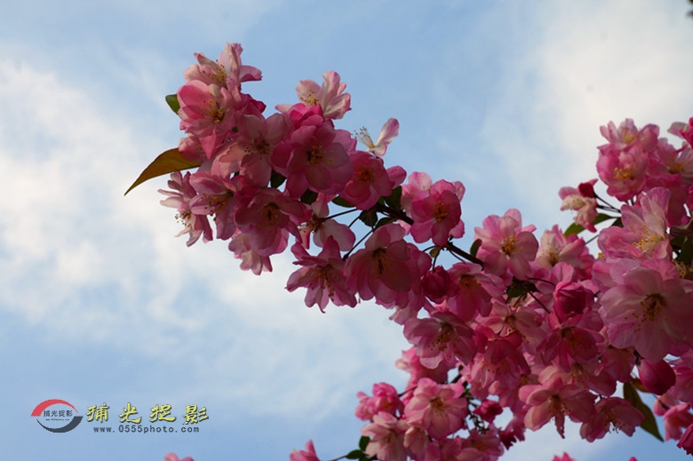 DSC00644_���� - ����.jpg