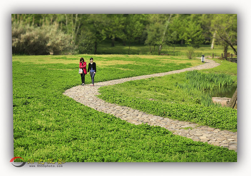 _D4A9896 ����.jpg