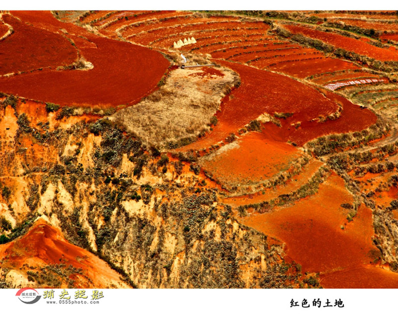 ��ƽ ��ɫ������.JPG