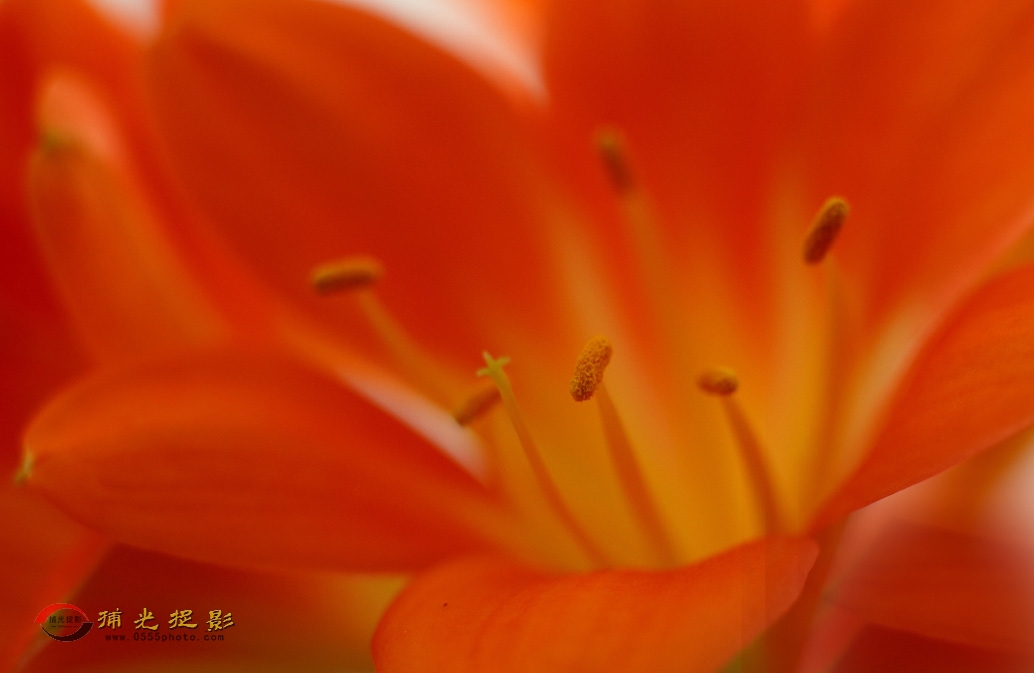 0R8A5018 ����.jpg