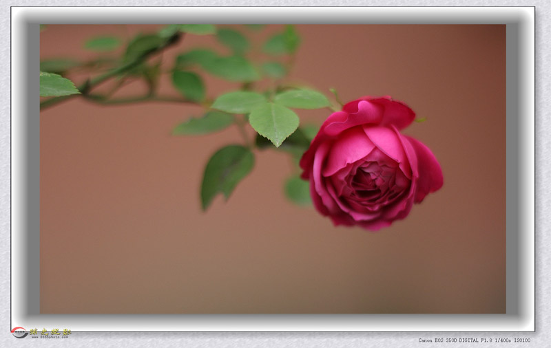 IMG_0016_���� - ����.jpg