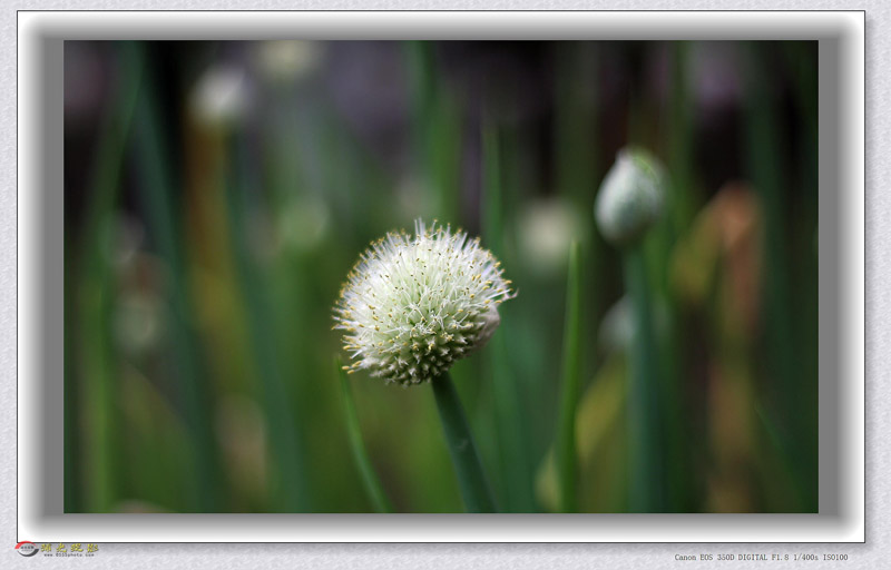 IMG_0036_���� - ����.jpg