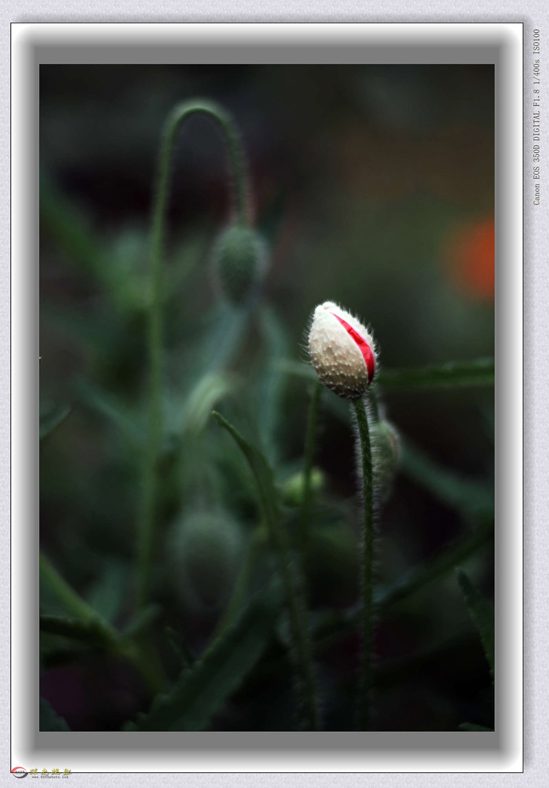 IMG_0060_���� - ����.jpg