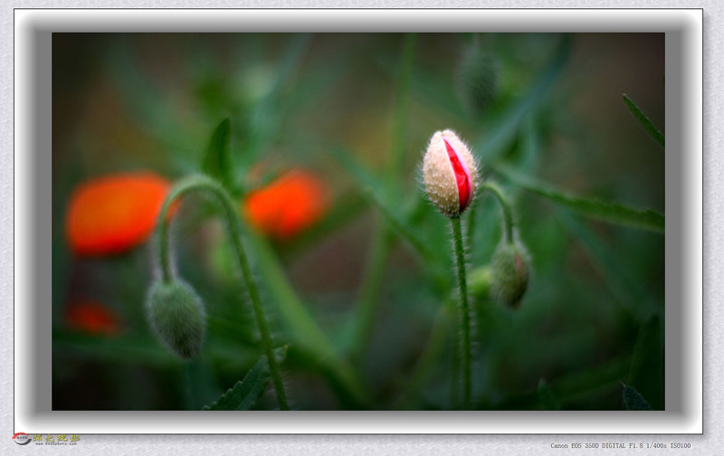 IMG_0056_���� - ����.jpg